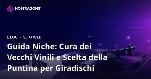 Guida Niche: Cura dei Vecchi Vinili e Scelta della Puntina per Giradischi