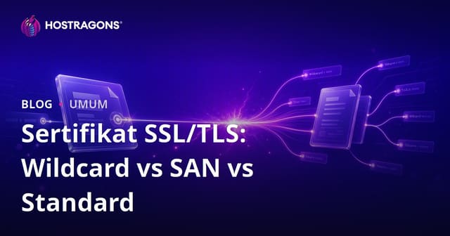 Sertifikat SSL/TLS: Wildcard vs SAN vs Standard