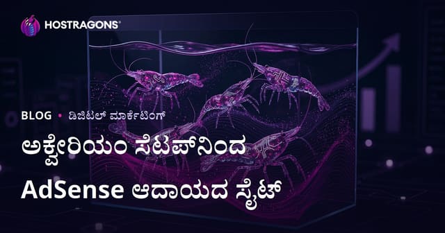 ಅಕ್ವಾರಿಯಂ ಸ್ಥಾಪನೆ ಮತ್ತು ಅಪರೂಪದ ಸರಪೊಡೆ ಪ್ರಜಾತಿಗಳ blog: Google AdSense ರಲ್ಲಿ ಹೈ ಇನ್ಕಮ್!