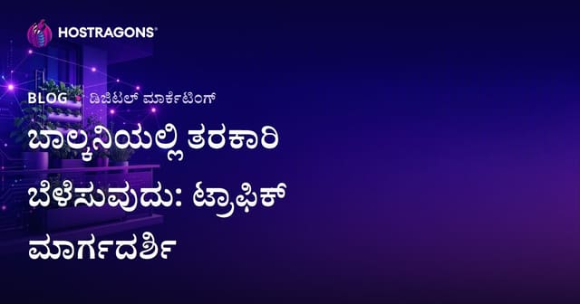 ನಗರ ಕೃಷಿ ಮತ್ತು ಬಾಲ್ಕನಿಯಲ್ಲಿ ತರಕಾರಿ ಬೆಳೆಸುವ ತಂತ್ರಗಳಿಗಾಗಿ ಟ್ರಾಫಿಕ್ ಹೇಗೆ ತರುತ್ತೀರಿ?