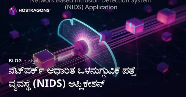 ನೆಟ್‌ವರ್ಕ್ ಆಧಾರಿತ ಅಳವಡಿಕೆ ಗೃಹಿಣಿ ಪತ್ತೆ ವ್ಯವಸ್ಥೆ (NIDS) ಹೂಡಿಕೆ ಬಗ್ಗೆ ಸಂಪೂರ್ಣ ಮಾರ್ಗದರ್ಶಿ