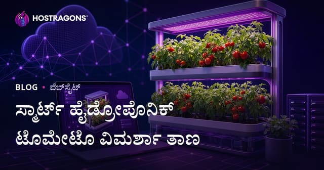 ಮಾತ್ರ ಮನೆಯಲ್ಲೇ ಶ್ರೇಷ್ಠ ಹೈಡ್ರೋಪೊನಿಕ್ ಟೊಮೆಟೋ ಬೆಳೆದ ನಿರ್ದೇಶನವೆನ್ನು ಕುರಿತಾಗೆ