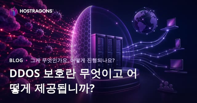 DDOS 보호란 무엇이고 어떻게 제공됩니까?