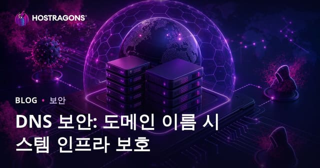 DNS 보안: 도메인 이름 시스템 인프라 보호