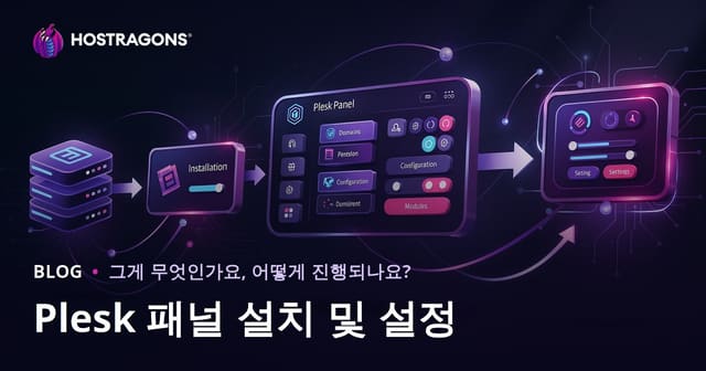 Plesk 패널 설치 및 설정 가이드