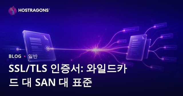 SSL/TLS 인증서: 와일드카드 대 SAN 대 표준