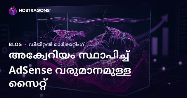 ആക്വറിയം ക്രമീകരണവും അപൂർവ കറുഡ് ഇനങ്ങളും: ഉയർന്ന AdSense വരുമാനമുള്ള വെബ്‌സൈറ്റ് നിർമ്മിക്കാൻ മാർഗ്ഗങ്ങൾ