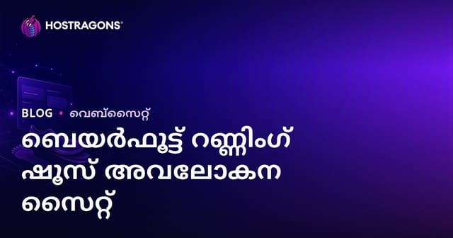 ദൗഡ പരിശോധനയും പൈരളിതല കാൽനടയുഗളും: സമഗ്ര അവലോകന വെബ്‌സൈറ്റ് സൃഷ്ടിക്കുന്നതെങ്ങനെ