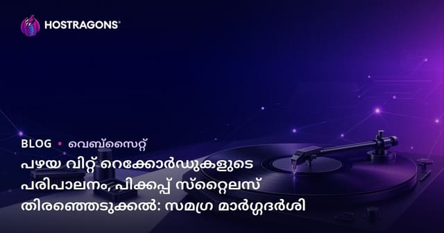 പഴയ വിറ്റ് റെക്കോർഡുകളുടെ പരിപാലനം, പിക്കപ്പ് സ്‌റ്റൈലസ് തിരഞ്ഞെടുക്കൽ: സമഗ്ര മാർഗ്ഗദർശി