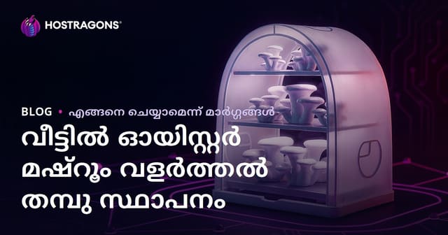 വീട്ടിലുണ്ടാക്കുന്നത് എളുപ്പം: ഇസ്ടിരിദ്യേ മഷ്റൂം ഉത്പാദന ടന്റ് സജ്ജീകരിക്കൽ പൂർണ്ണ മാർഗ്ഗനിർദ്ദേശം