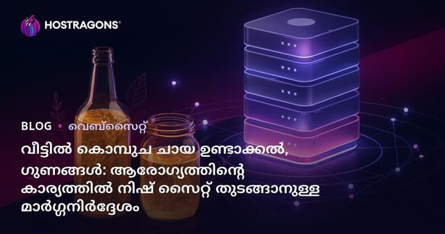 വീട്ടിൽ കൊമ്പുച ചായ ഉണ്ടാക്കൽ, ഗുണങ്ങൾ: ആരോഗ്യത്തിന്‍റെ കാര്യത്തിൽ നിഷ് സൈറ്റ് തുടങ്ങാനുള്ള മാർഗ്ഗനിർദ്ദേശം