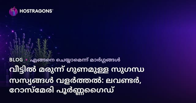 വീട്ടിൽ മരുന്ന് ഗുണമുള്ള സുഗന്ധ സസ്യങ്ങൾ വളർത്തൽ: ലവണ്ടർ, റോസ്‌മേരി പൂർണ്ണഗൈഡ്
