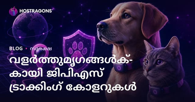 വീട്ടുമൃഗങ്ങൾക്ക് വേണ്ടി മാത്രം GPS ട്രാക്കിംഗ് കോളറുകൾ അവലോകനം ചെയ്യുന്ന സുരക്ഷാ ബ്ലോഗ്