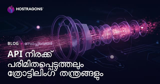 API Rate Limiting ഒപ്പം Throttling മാർഗങ്ങൾ: Web API-കൾക്കുള്ള സുരക്ഷയും പ്രവർത്തനക്ഷമതയും