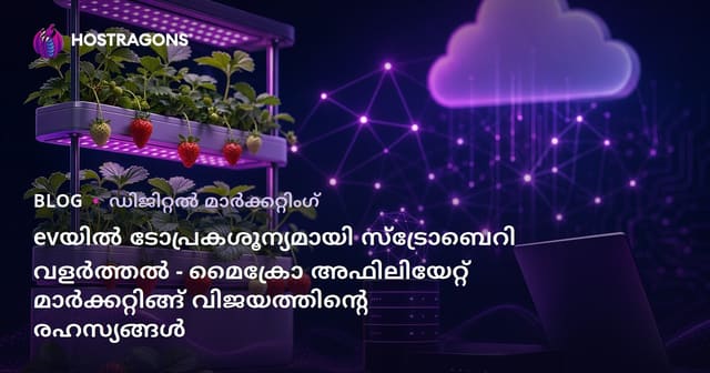 evയിൽ ടോപ്രകശൂന്യമായി സ്‌ട്രോബെറി വളർത്തൽ - മൈക്രോ അഫിലിയേറ്റ് മാർക്കറ്റിങ്ങ് വിജയത്തിന്റെ രഹസ്യങ്ങൾ