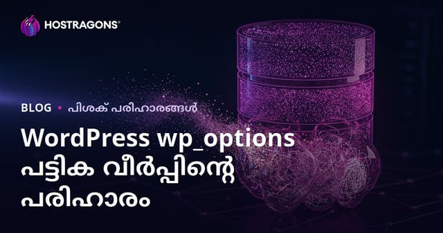 WordPress wp_options പട്ടിക വലുതാകുന്നത്: സൈറ്റ് മന്ദഗതിയാക്കുന്ന മറഞ്ഞ ഡാറ്റകള്‍ എങ്ങനെ നീക്കം ചെയ്യാം