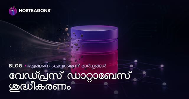 WordPress ഡാറ്റാബേസ് ക്ലീനിംഗ് & ഒപ്റ്റിമൈസേഷൻ എങ്ങനെ ചെയ്യാം?