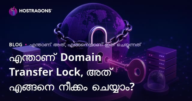 എന്താണ് Domain Transfer Lock, അത് എങ്ങനെ നീക്കം ചെയ്യാം?