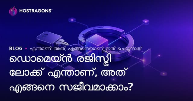 ഡൊമെയ്ൻ രജിസ്ട്രി ലോക്ക് എന്താണ്, അത് എങ്ങനെ സജീവമാക്കാം?