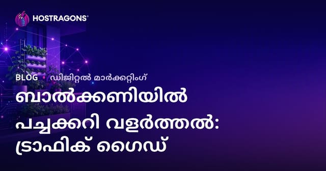 നഗരകൃഷിയും ബാൽക്കണിയിലെ പച്ചക്കറി വളർത്തൽ മാർഗങ്ങളും – ട്രാഫിക് വർദ്ധനവിനുള്ള മികച്ച മാർഗങ്ങൾ