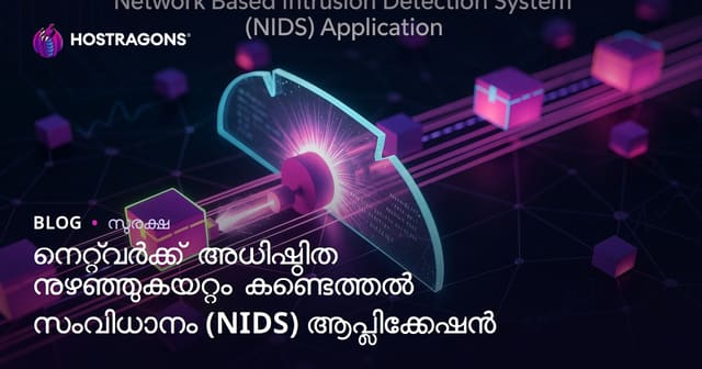 നെറ്റ്വർക്ക് അധിഷ്ഠിത ആക്രമണ ശേഖരണം (NIDS) പഠനവും പ്രയോഗവും