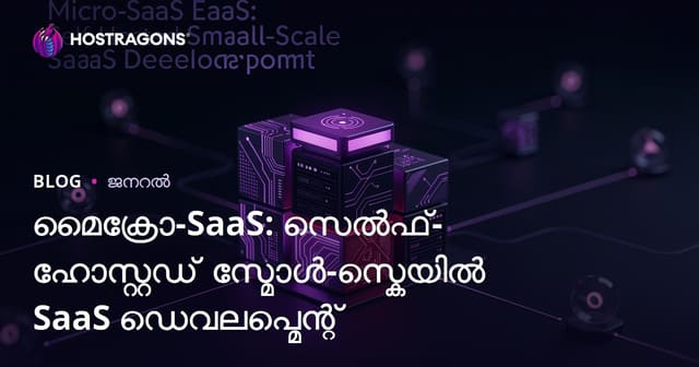 Micro-SaaS: Self-Hosted മോഡൽ – ചെറുകിട SaaS സ്വയം ഹോസ്റ്റുചെയ്യൽ വികസനം