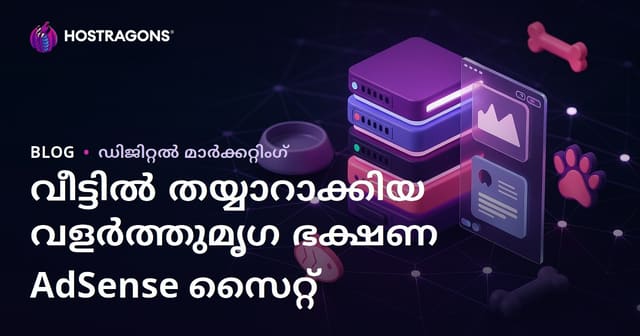 വീട്ടിൽ തയ്യാറാക്കാവുന്ന മൃഗാഹാര റസിപ്പികളിൽ ശ്രദ്ധ കേന്ദ്രീകരിച്ചുള്ള നിഷ് ആദ്സെൻസ് വെബ്സൈറ്റ്