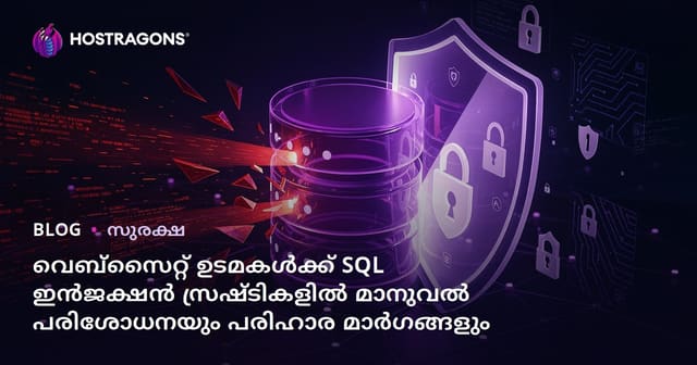 വെബ്സൈറ്റ് ഉടമകൾക്ക് SQL ഇൻജക്ഷൻ സ്രഷ്ടികളിൽ മാനുവൽ പരിശോധനയും പരിഹാര മാർഗങ്ങളും