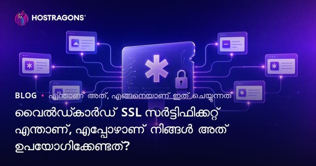 Wildcard SSL സർട്ടിഫിക്കറ്റ്: അതിന്റെ ഫലപ്രാതി, എങ്ങനെയാണ് ഉപയോഗിക്കാൻ, എപ്പോൾ വാങ്ങേണ്ടത്?