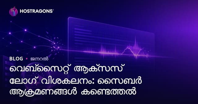 വെബ്‌സൈറ്റ് ആക്‌സസ് ലോഗ് വിശകലനം: സൈബർ ആക്രമണങ്ങൾ കണ്ടെത്തൽ