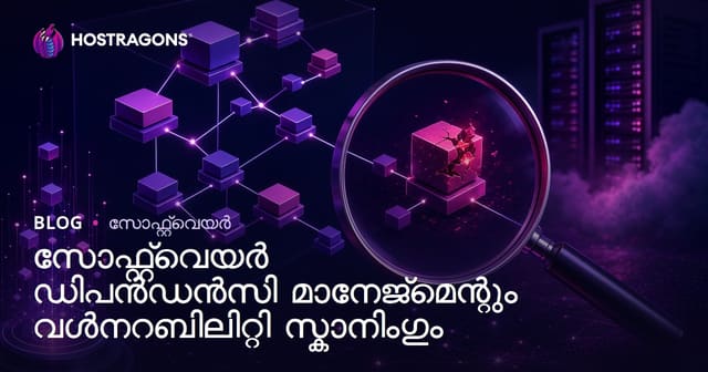 സോഫ്റ്റ്വെയർ ഡിപെൻഡൻസി മാനേജ്‌മെന്റ് & സെക്യൂരിറ്റി വൽനറബിലിറ്റി സ്കാൻ