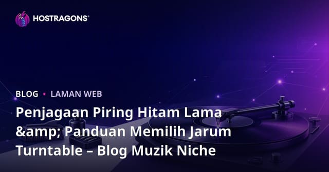 Penjagaan Piring Hitam Lama & Panduan Memilih Jarum Turntable – Blog Muzik Niche