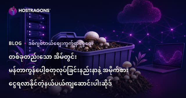 တစ်ခုတည်းသော အိမ်တွင်း မန်တာကွန်ပေါ့စတုလုပ်ခြင်းနည်းနာနဲ့ အမိုက်စား ငွေရလာနိုင်တဲ့နယ်ပယ်ကျဆောင်းပါးဆိုဒ်