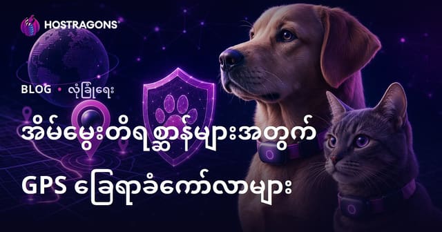 တိရစ္ဆာန်အတွက် GPS ကိုယ်စားလှယ်တပ်အပ်များ ဘေးကင်းရေးဘလော့အနုပညာ – မြန်မာနည်းပညာနည်းလမ်းများ