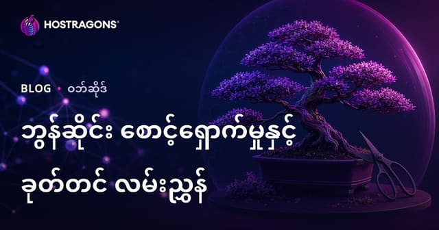 ဘန်ဆိုင်အနွေးပညာ၊ ချေမှုန့်နည်းလမ်းများအတွက် မြန်မာSEO ဗိုလ်ကြီးဓါတ်ရုပ်ထောက်လှမ်းတဲ့ ဝဘ်ဘလော့