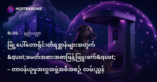 မြို့ပေါ်တောရိုင်းတိရစ္ဆာန်များအတွက် "စမတ်အစားအစာဖြန့်ဖြူးစက်" – တာဝန်ယူမှုအလှူအဖွဲ့အစီအစဉ် လမ်းညွှန်