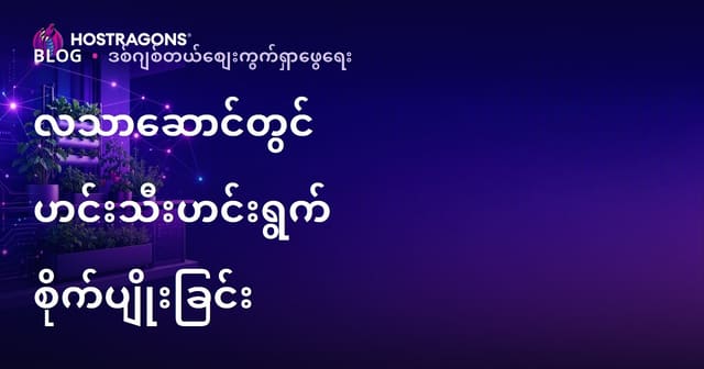 မြို့ပြစိုက်ပျိုးရေး နှင့် နေ့စဉ်ဘလံခေါ်မှာ ဟင်းသီးဟင်းလိပ် စိုက်ပျိုးနည်းများအတွက် ဝင်ရောက်အသုံးပြုမှု တိုးမြှင့်ခြင်း