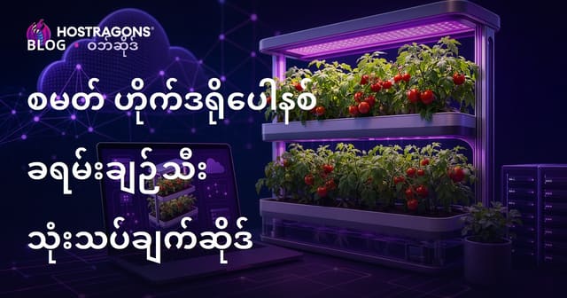 သင့်မှာပဲအိမ်တွင် အနည်းပျော့ပျော့ အမြစ်သောက်သီးထုတ်လုပ်ခြင်းအပေါ်အကြောင်းအရာလုပ်ရန်ဝက်ဘ်ဆိုက်ဖြစ်သည်