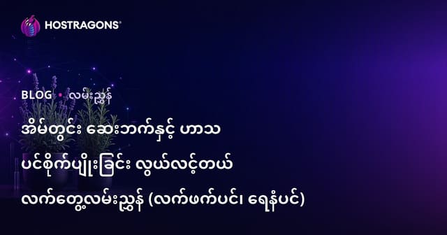 အိမ်တွင်း ဆေးဘက်နှင့် ဟာသ ပင်စိုက်ပျိုးခြင်း လွယ်လင့်တယ် လက်တွေ့လမ်းညွှန် (လက်ဖက်ပင်၊ ရေနံပင်)