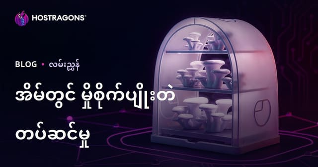 အိမ်တွင်း ဥလီမန်တာ တာပင်ထုတ်လုပ်ရေးအတွက် တာပင်အိမ်တဲ တည်ဆောက်နည်း (လှုပ်ရှားမှုအဆင့်ဆင့်လမ်းညွှန်)