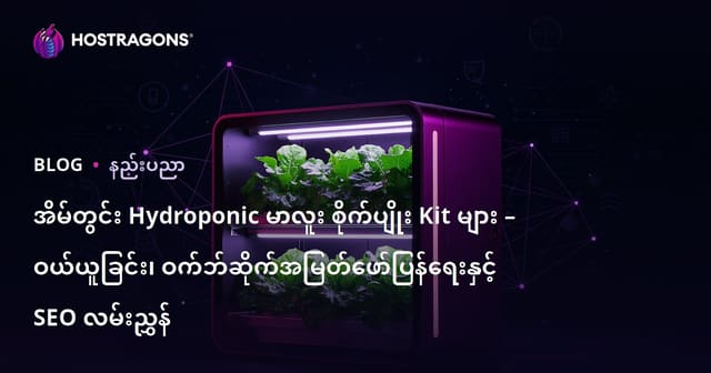 အိမ်တွင်း Hydroponic မာလူး စိုက်ပျိုး Kit များ – ဝယ်ယူခြင်း၊ ဝက်ဘ်ဆိုက်အမြတ်ဖော်ပြန်ရေးနှင့် SEO လမ်းညွှန်