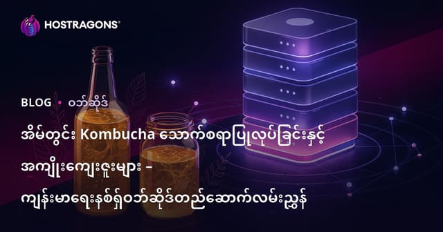 အိမ်တွင်း Kombucha သောက်စရာပြုလုပ်ခြင်းနှင့် အကျိုးကျေးဇူးများ – ကျန်းမာရေးနစ်ရှ်ဝဘ်ဆိုဒ်တည်ဆောက်လမ်းညွှန်