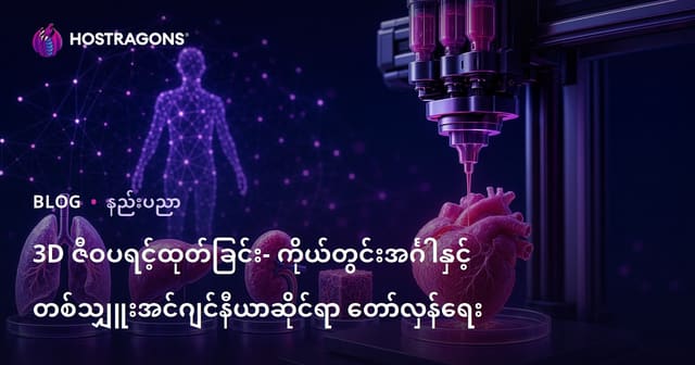 3D ဗိုင်ယိုပရင်တင်နည်းပညာ – အင်္ဂါနှင့်ကြောင့်ကိုယ်အရည်အာရုံအတွက် ပြောင်းလဲမှု