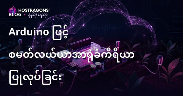 Arduino ဖြင့် ကိုယ်တိုင် အော်တို အိုင်ဘီလျော်စိုက်ဝါးစနစ် Sensor DIY
