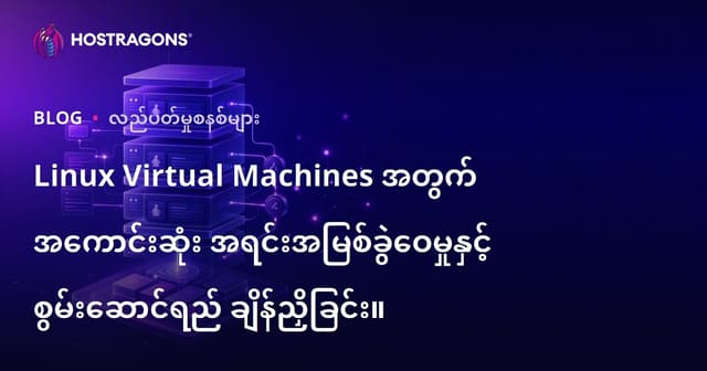 Linux Virtual Machines အတွက် အကောင်းဆုံး အရင်းအမြစ်ခွဲဝေမှုနှင့် စွမ်းဆောင်ရည် ချိန်ညှိခြင်း။