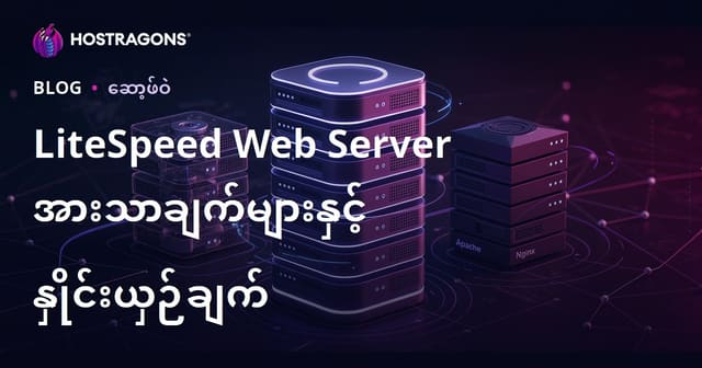 LiteSpeed Web Server ၏ အားသာချက်များ, Apache/Nginx နှင့် စီစဉ်နှိုင်းယှဉ်မှု (မြန်မာ Hosting SEO)