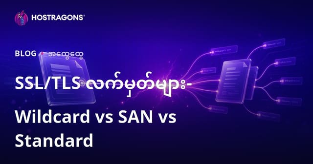 SSL/TLS စာရင်းကွက်လက်မှတ်များ: Wildcard, SAN, Standart ကို ဘယ်လိုရွေးကြားမလဲ?