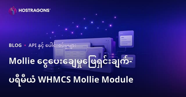 Mollie ငွေပေးချေမှုဖြေရှင်းချက်- ပရီမီယံ WHMCS Mollie Module