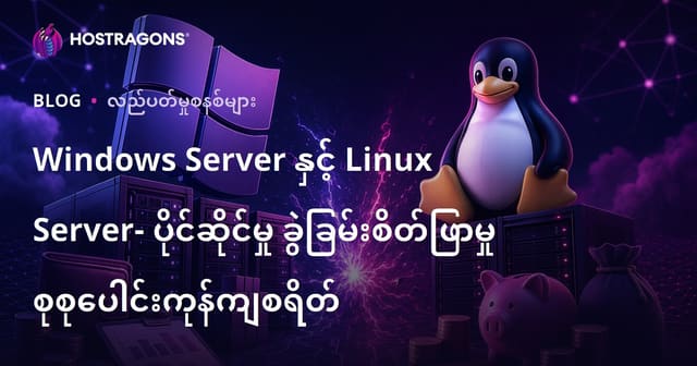 Windows Server နဲ့ Linux Server: စုစုပေါင်းပိုင်ဆိုင်ခွင့်ကုန်ကျစရိတ် မူဝါဒဗျည်းနိုင်ငံရေး ဝေဖန်ခြင်း