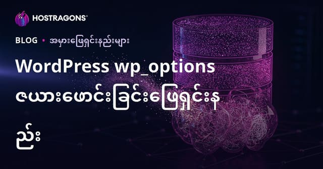 WordPress wp_options Table ပြောင်းလွှဲမှု: ဝက်ဘ်ဆိုဒ်ကိုနှေးနည်းစေတဲ့ ဖျောက်ထားသော ဒေတာများကို သန့်ရှင်းခြင်း